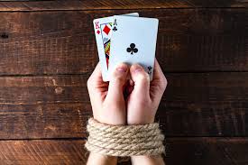 Вход на зеркало AVOCADO CASINO